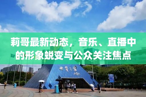 莉哥最新动态，音乐、直播中的形象蜕变与公众关注焦点