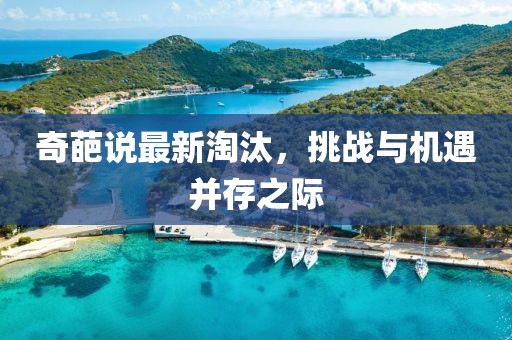 奇葩说最新淘汰，挑战与机遇并存之际