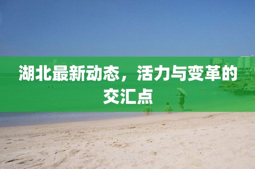 湖北最新动态，活力与变革的交汇点