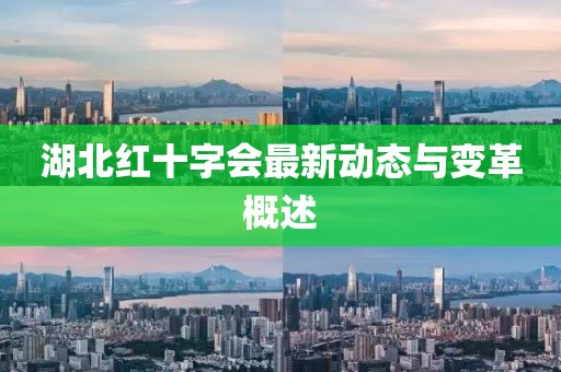 湖北红十字会最新动态与变革概述