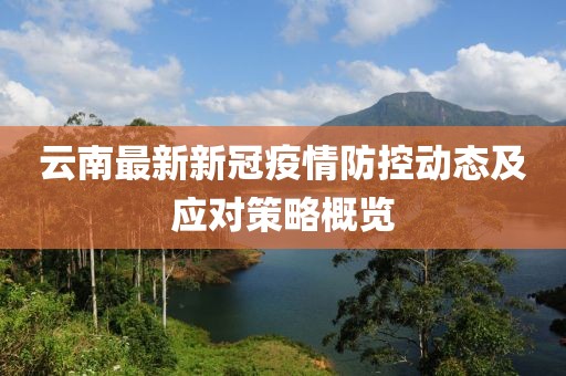 云南最新新冠疫情防控动态及应对策略概览