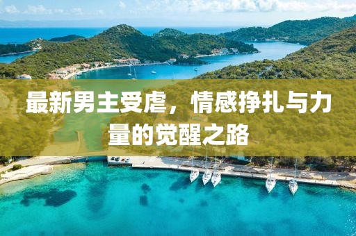 最新男主受虐，情感挣扎与力量的觉醒之路