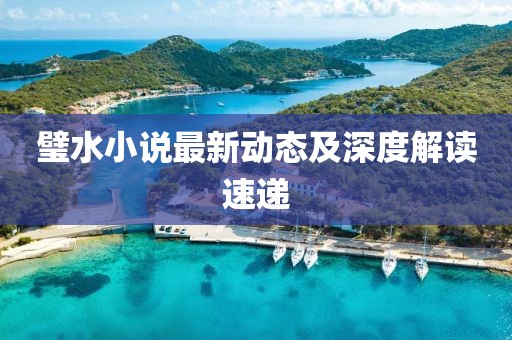 璧水小说最新动态及深度解读速递