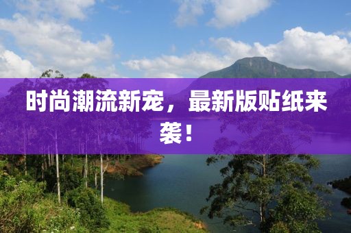 时尚潮流新宠，最新版贴纸来袭！