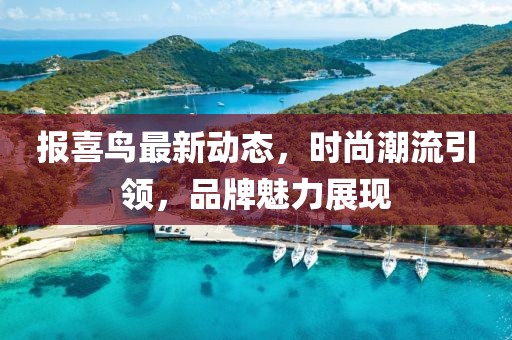 报喜鸟最新动态，时尚潮流引领，品牌魅力展现