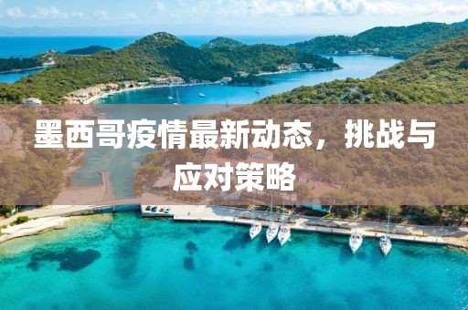 墨西哥疫情最新动态，挑战与应对策略
