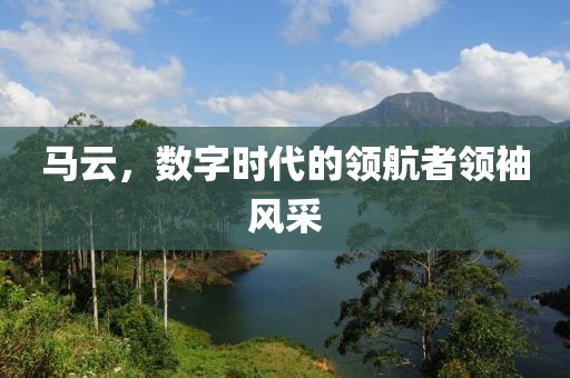 马云，数字时代的领航者领袖风采
