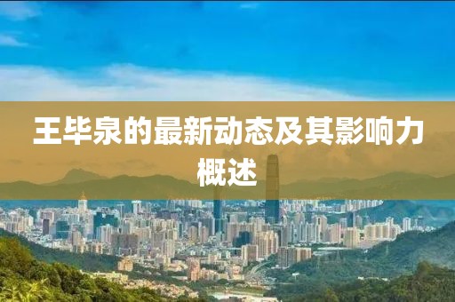王毕泉的最新动态及其影响力概述