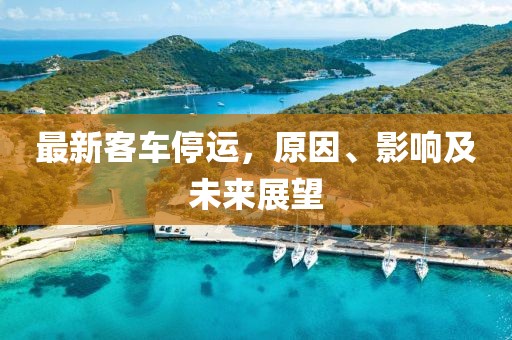 最新客车停运，原因、影响及未来展望
