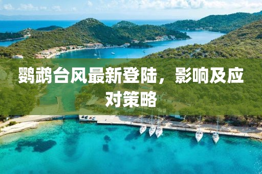 鹦鹉台风最新登陆，影响及应对策略