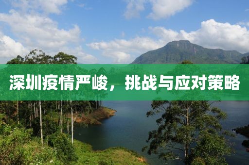 深圳疫情严峻，挑战与应对策略