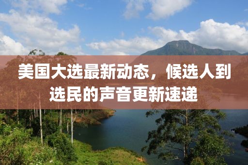 美国大选最新动态，候选人到选民的声音更新速递