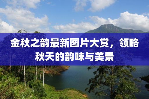 金秋之韵最新图片大赏，领略秋天的韵味与美景