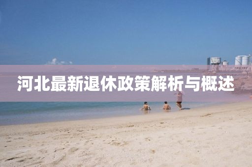 河北最新退休政策解析与概述