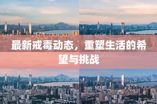 最新戒毒动态，重塑生活的希望与挑战