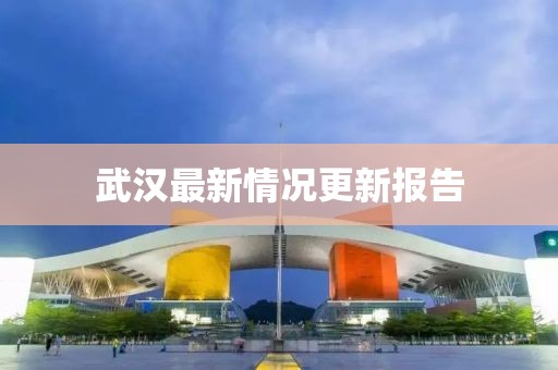 武汉最新情况更新报告