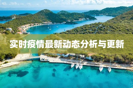 实时疫情最新动态分析与更新
