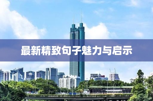 最新精致句子魅力与启示