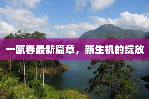 一瓯春最新篇章，新生机的绽放