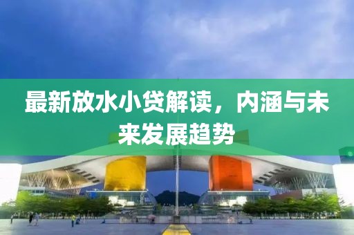 最新放水小贷解读，内涵与未来发展趋势