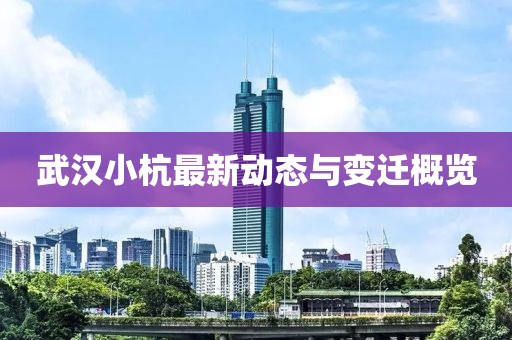 武汉小杭最新动态与变迁概览