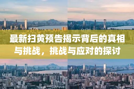 最新扫黄预告揭示背后的真相与挑战，挑战与应对的探讨