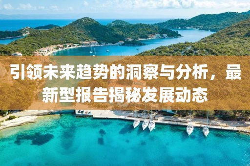 引领未来趋势的洞察与分析，最新型报告揭秘发展动态