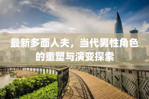 最新多面人夫，当代男性角色的重塑与演变探索