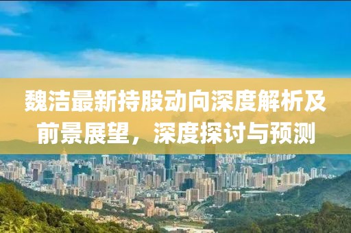 魏洁最新持股动向深度解析及前景展望，深度探讨与预测