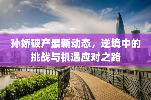 孙娇破产最新动态，逆境中的挑战与机遇应对之路