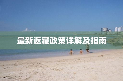 最新返藏政策详解及指南