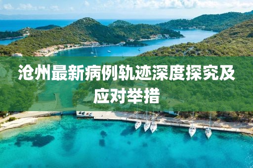 沧州最新病例轨迹深度探究及应对举措