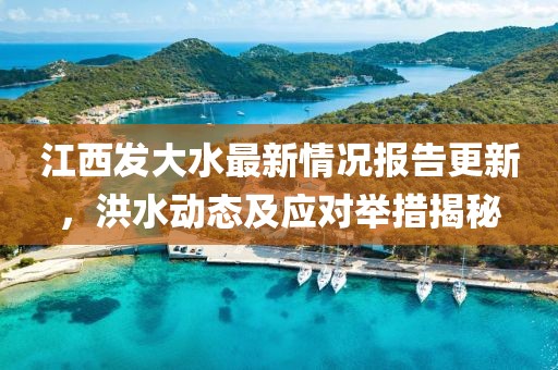 江西发大水最新情况报告更新，洪水动态及应对举措揭秘