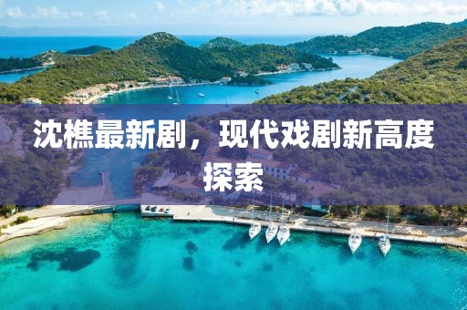 沈樵最新剧，现代戏剧新高度探索