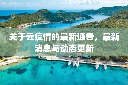 关于云疫情的最新通告，最新消息与动态更新