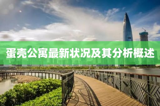 蛋壳公寓最新状况及其分析概述