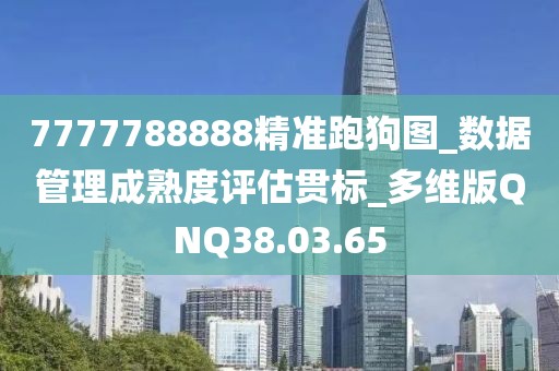 7777788888精准跑狗图_数据管理成熟度评估贯标_多维版QNQ38.03.65