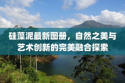 硅藻泥最新图册，自然之美与艺术创新的完美融合探索