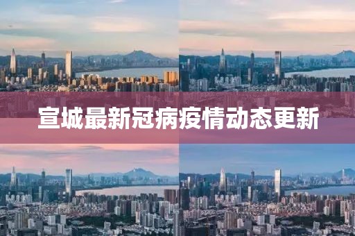 宣城最新冠病疫情动态更新