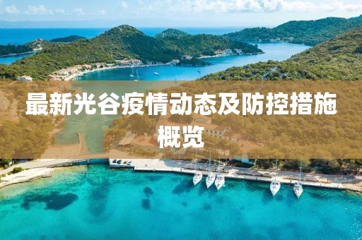 最新光谷疫情动态及防控措施概览