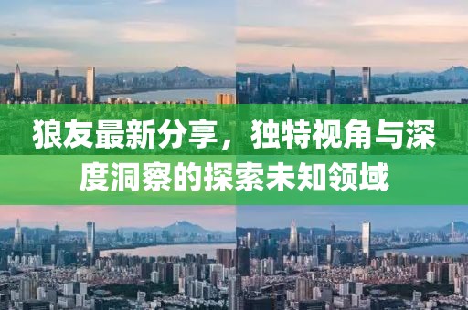 狼友最新分享，独特视角与深度洞察的探索未知领域
