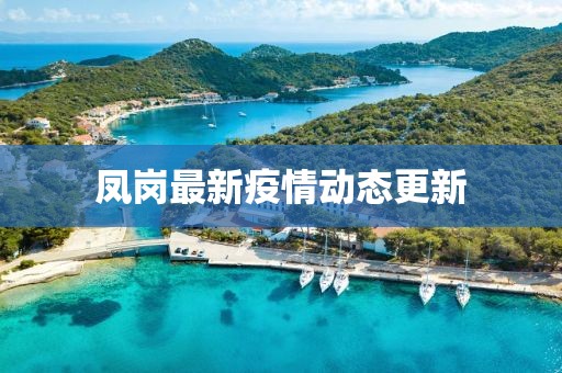 凤岗最新疫情动态更新
