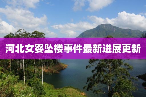 河北女婴坠楼事件最新进展更新