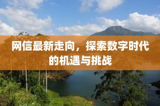 网信最新走向，探索数字时代的机遇与挑战