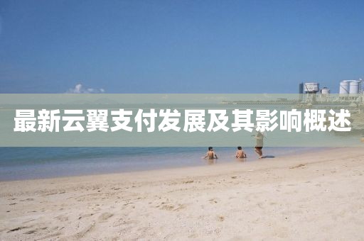 最新云翼支付发展及其影响概述