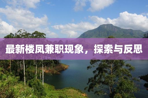最新楼凤兼职现象，探索与反思