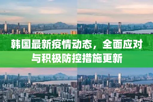 韩国最新疫情动态，全面应对与积极防控措施更新