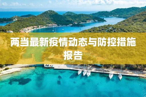 两当最新疫情动态与防控措施报告