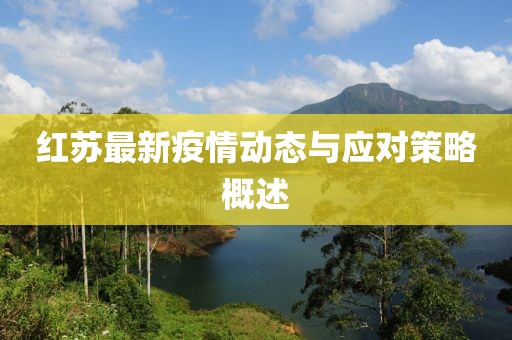 红苏最新疫情动态与应对策略概述
