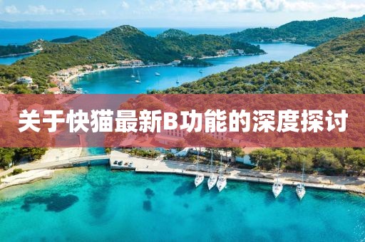 关于快猫最新B功能的深度探讨